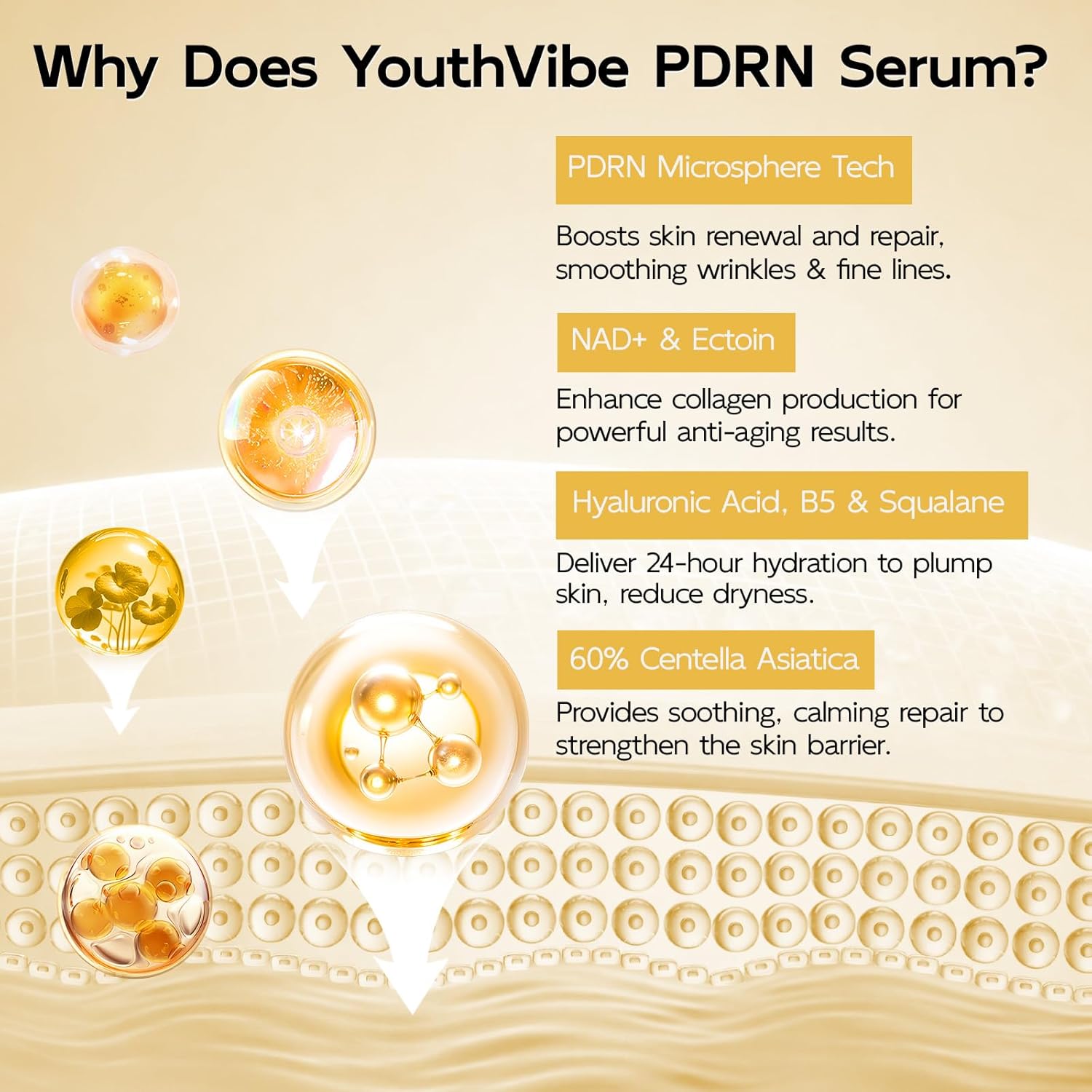 YouthVibe 0.5% PDRN Serum for Face, Anti-Aging Salmon DNA Face Serum with Hyaluronic Acid, Niacinamide & Squalane, Firming & Hydrating for Fine Lines & Wrinkles Skincare - 30ml